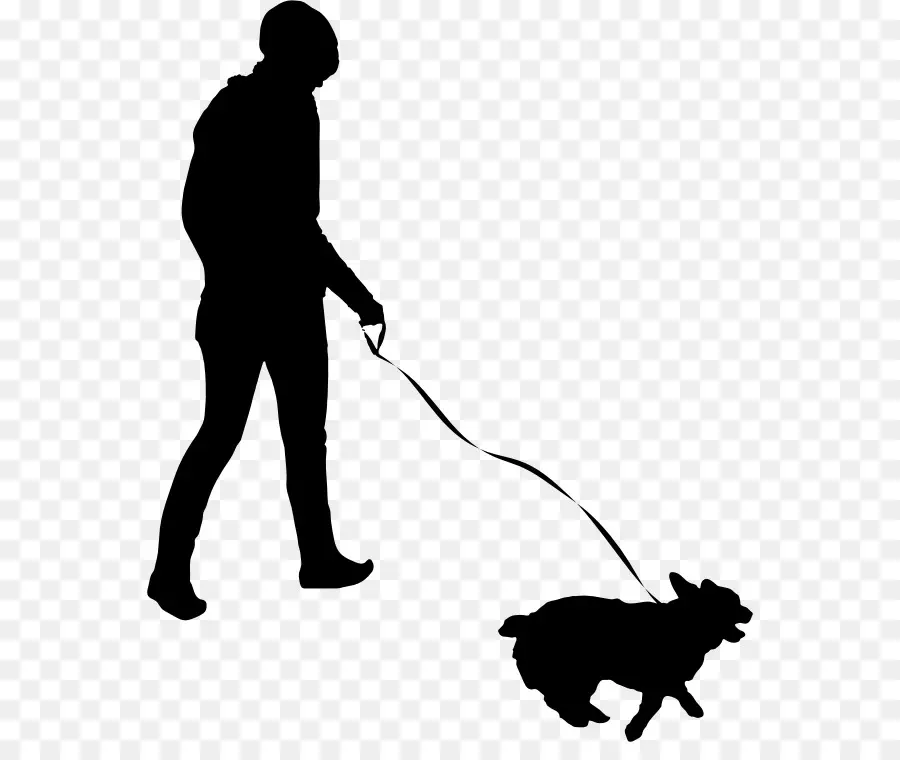 Personne Promenant Un Chien，Animal De Compagnie PNG