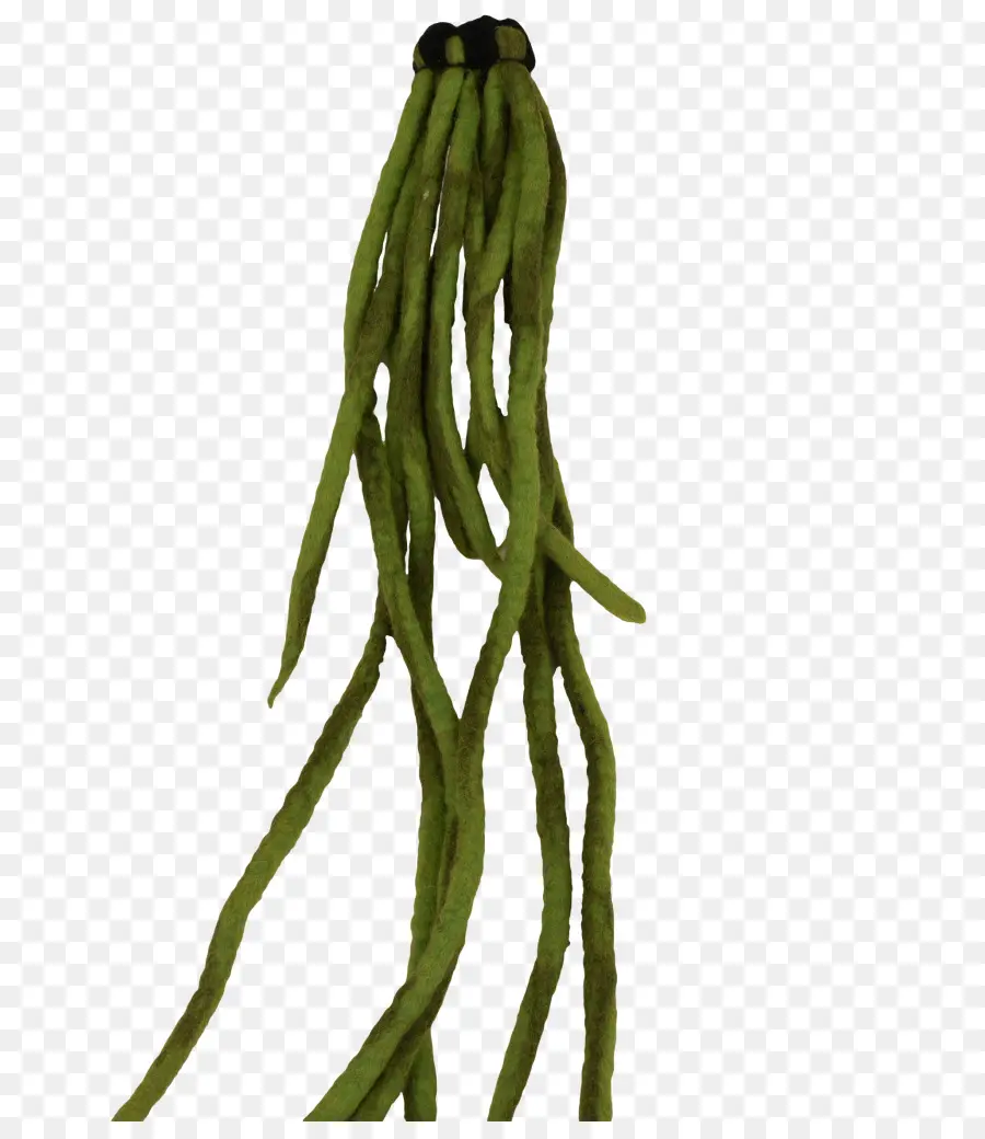 Dreadlocks，Cheveux PNG