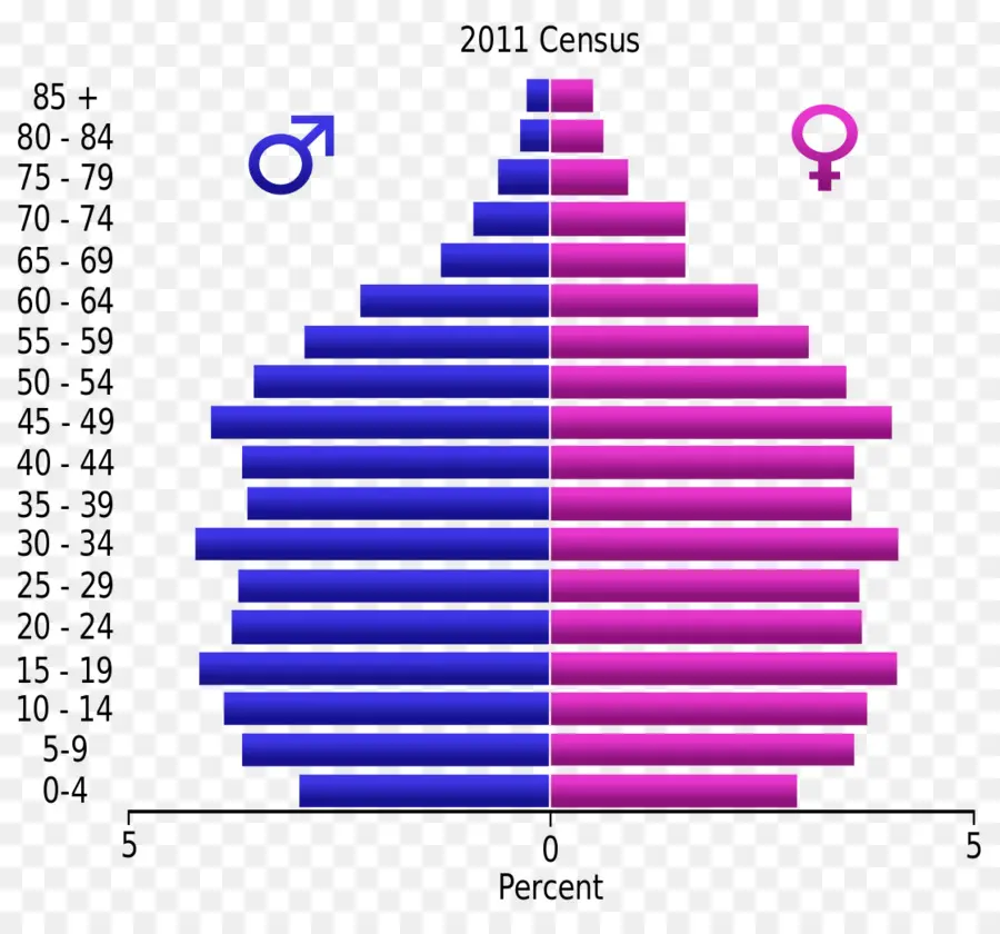 Pyramide Des âges，Recensement PNG
