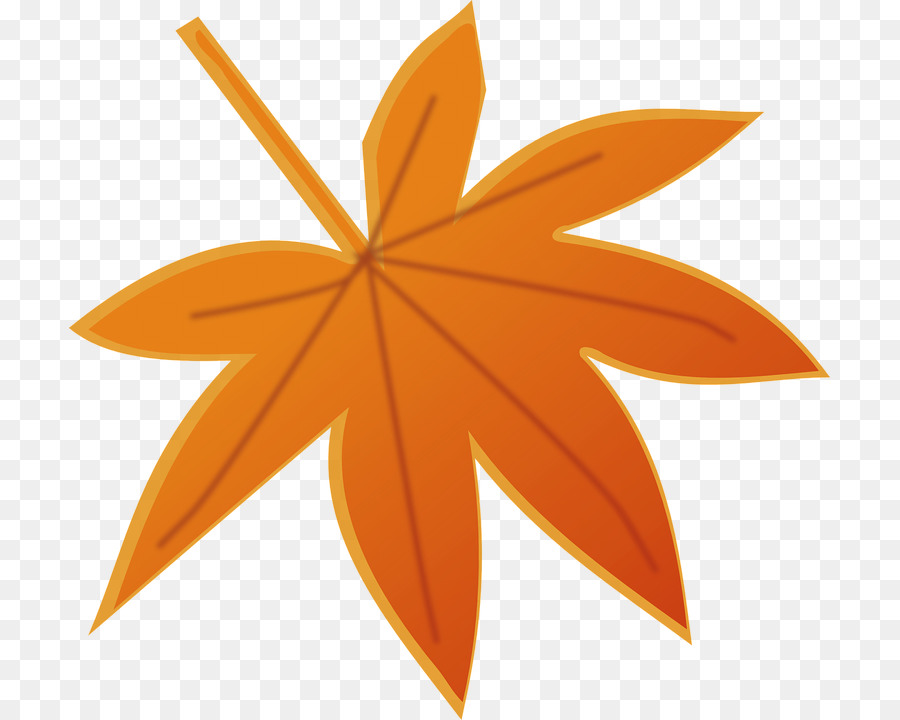 Feuille，Automne PNG