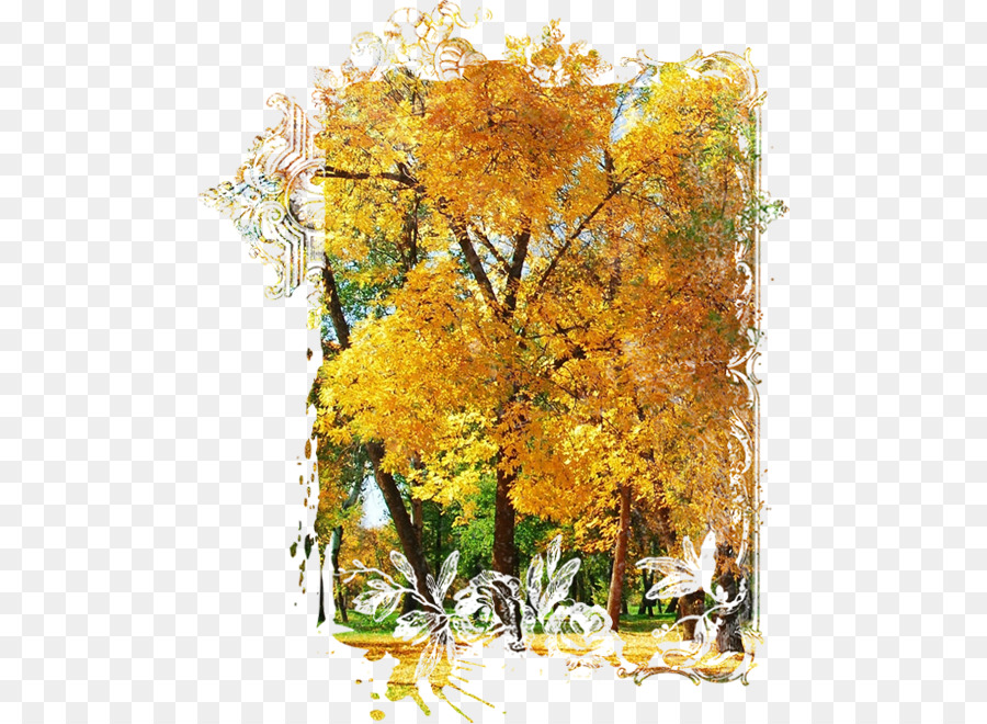 Arbres D'automne，Feuilles Jaunes PNG