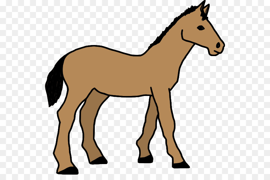 Cheval，Poney PNG