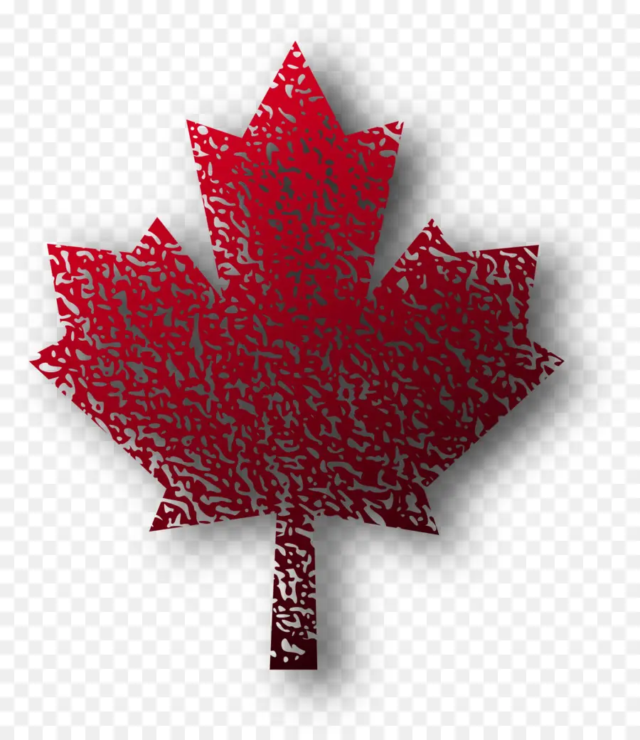 Feuille D'érable，Canada PNG