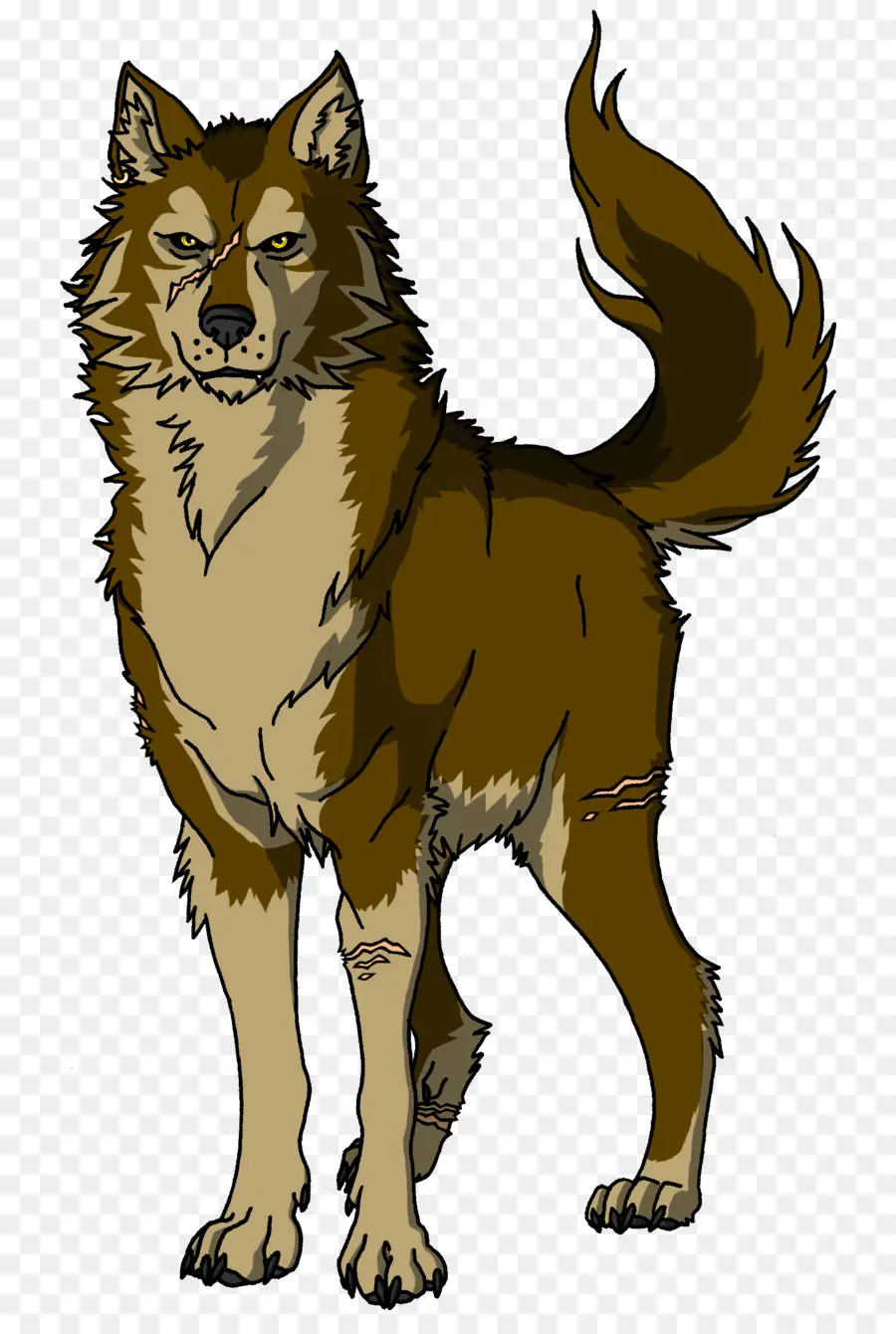 Loup，Canin PNG