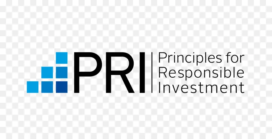 Principes Pour Un Investissement Responsable，Investissement PNG