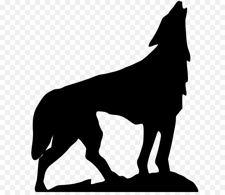 Silhouette De Loup Hurlant，Loup PNG