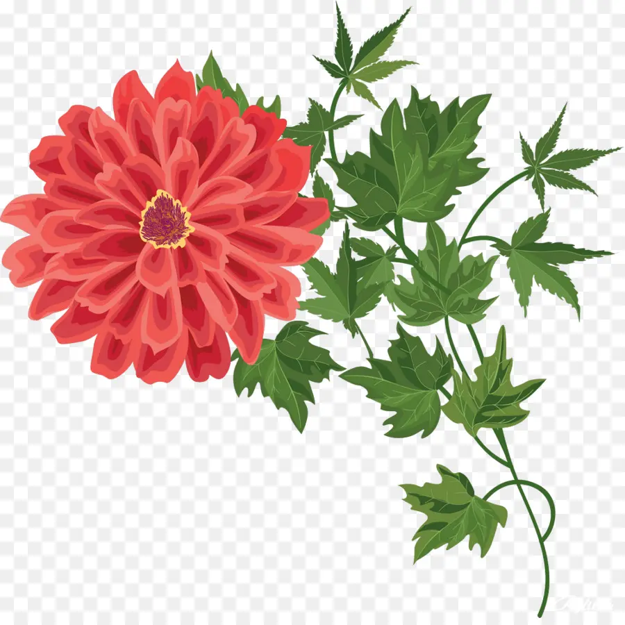 Fleur Rouge，Fleurir PNG