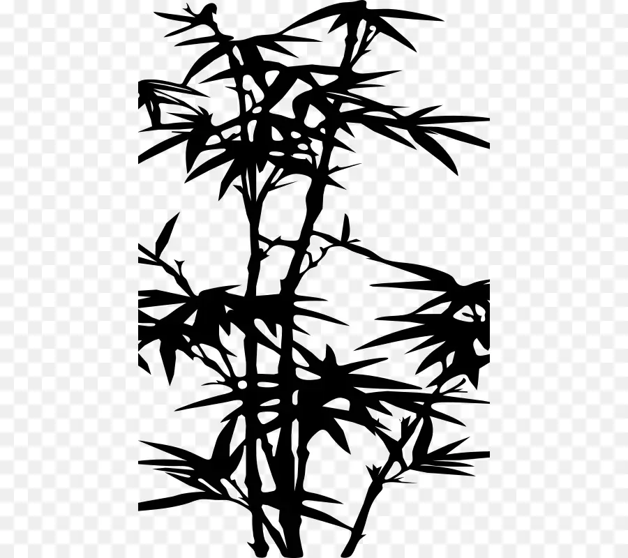 Plante De Bambou，Silhouette PNG