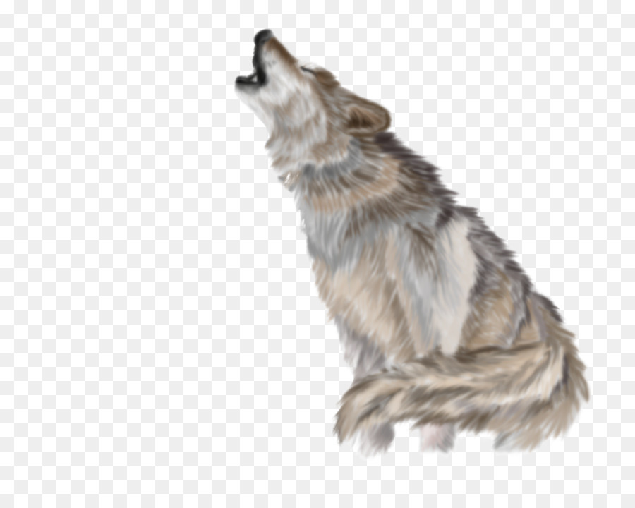 Loup，Hurlement PNG