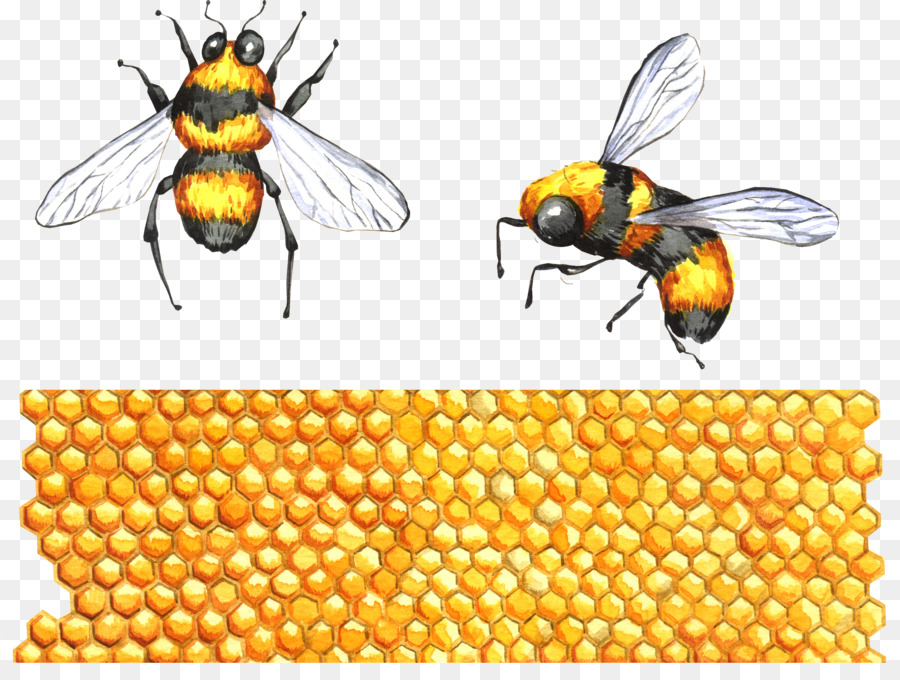 Abeille，Insecte PNG