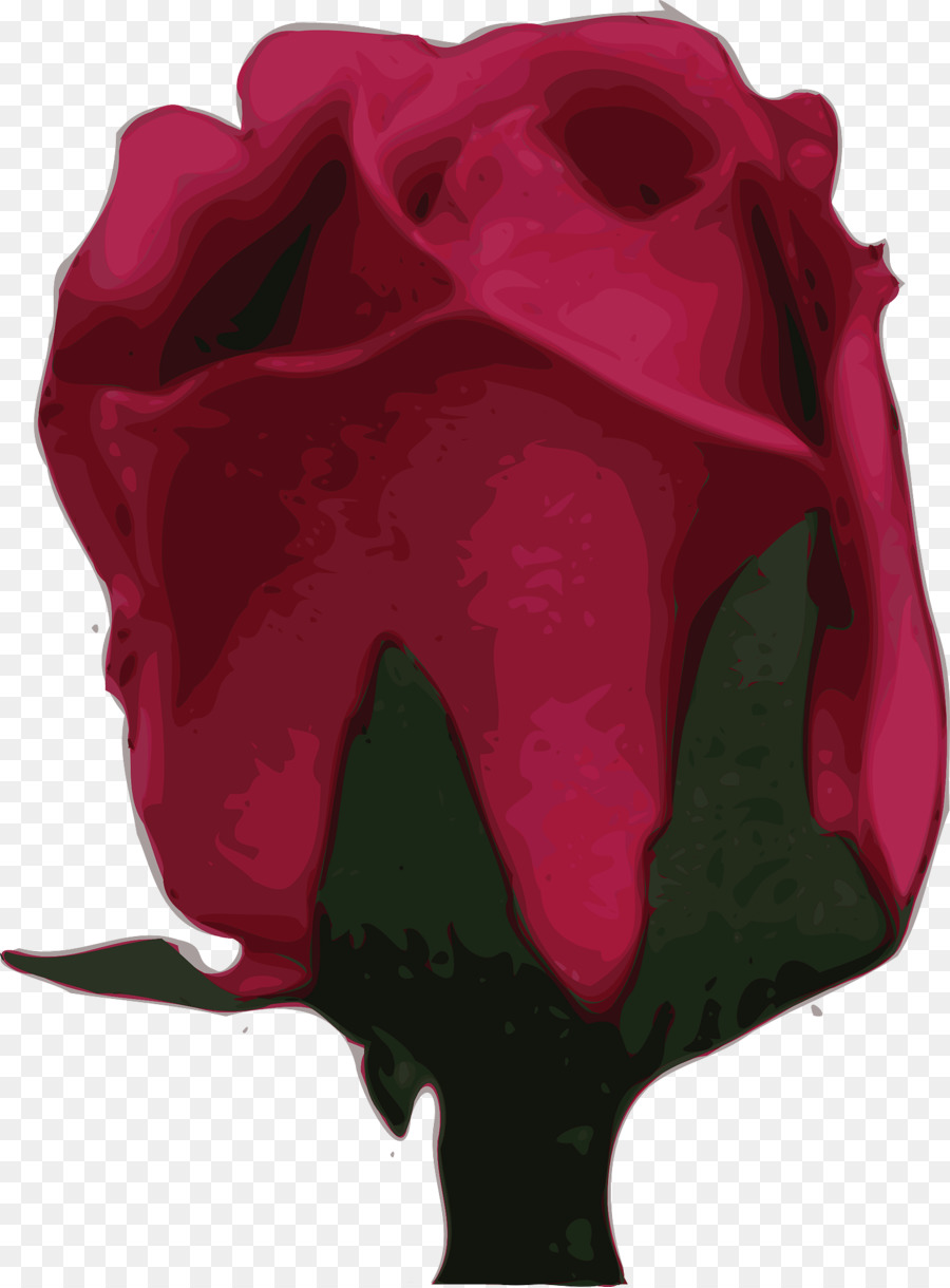 Roses Rouges，Floraison PNG