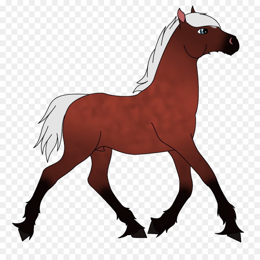 Cheval，équidé PNG