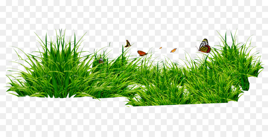 Herbe，Papillons PNG