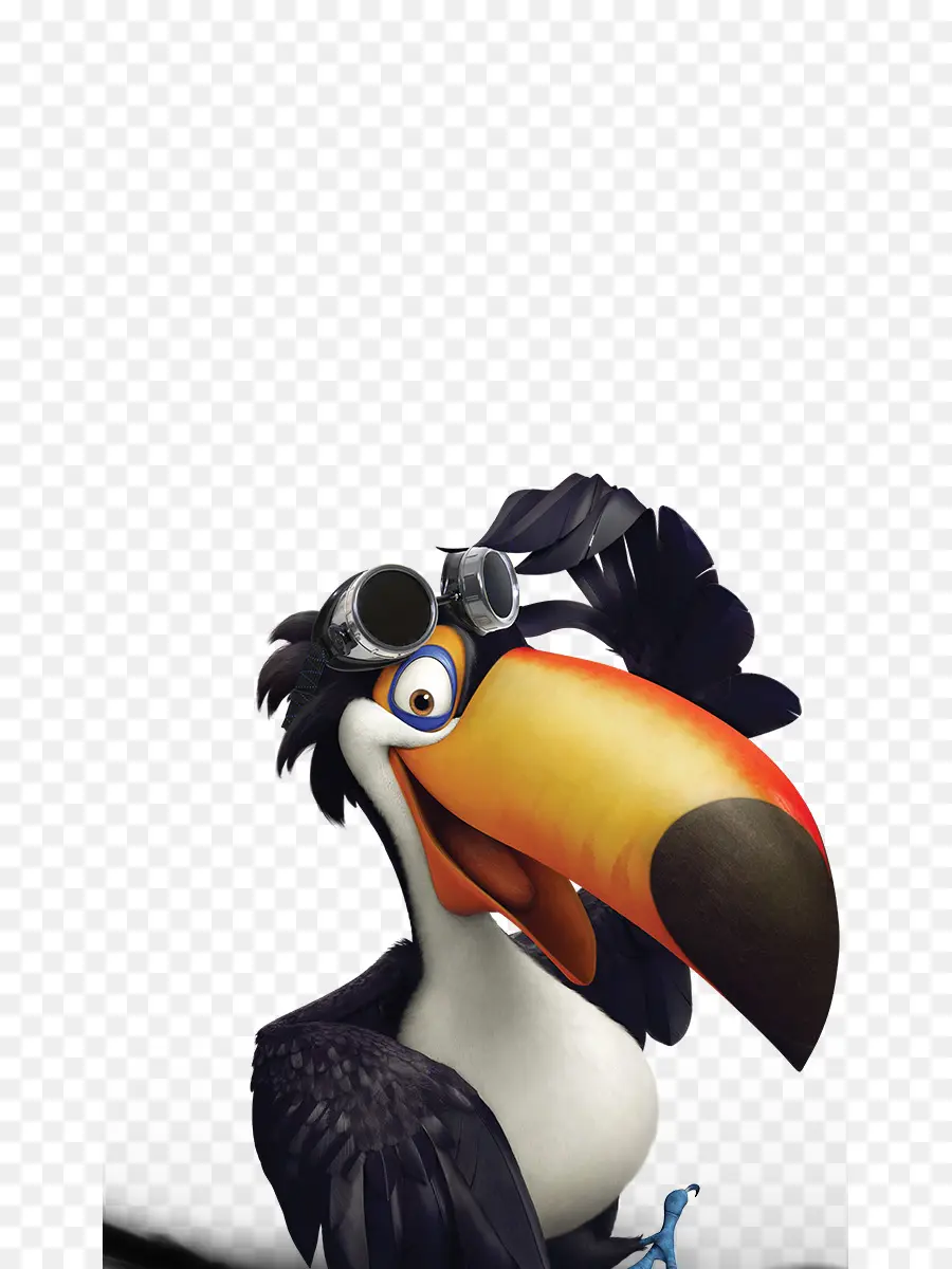 Toucan，Oiseau PNG