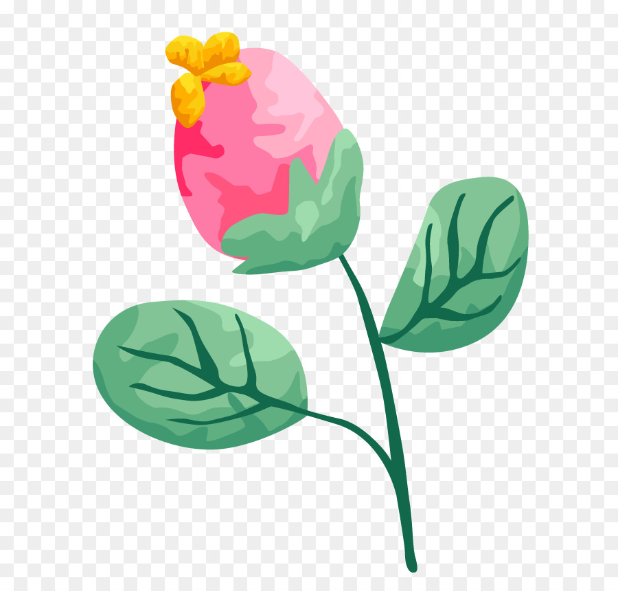 Fleur Rose，Floraison PNG