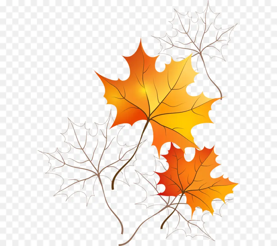 Feuilles D'automne，Automne PNG