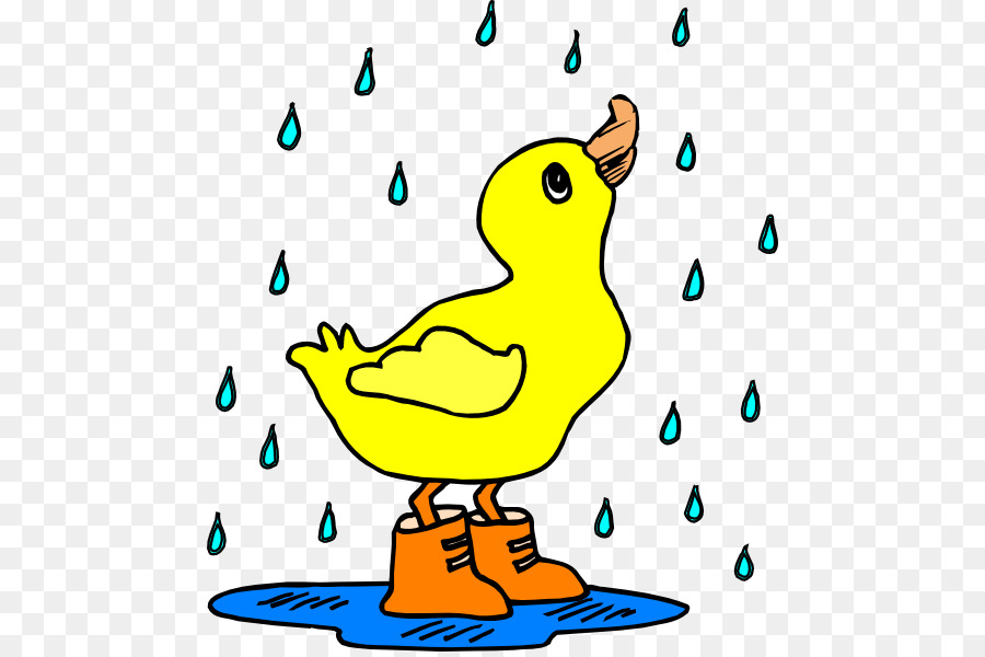 Canard，Pluie PNG