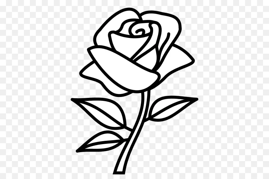 Rose，Fleur PNG