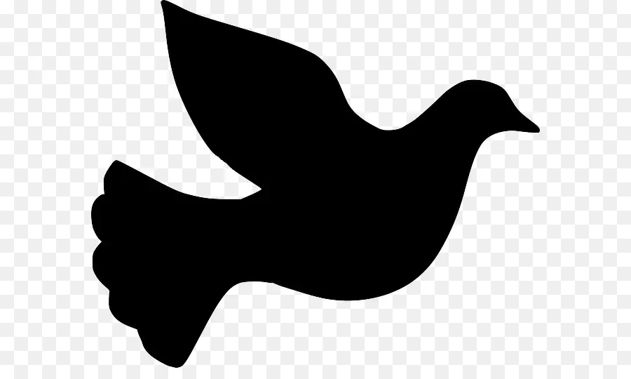 Columbidae，Silhouette PNG