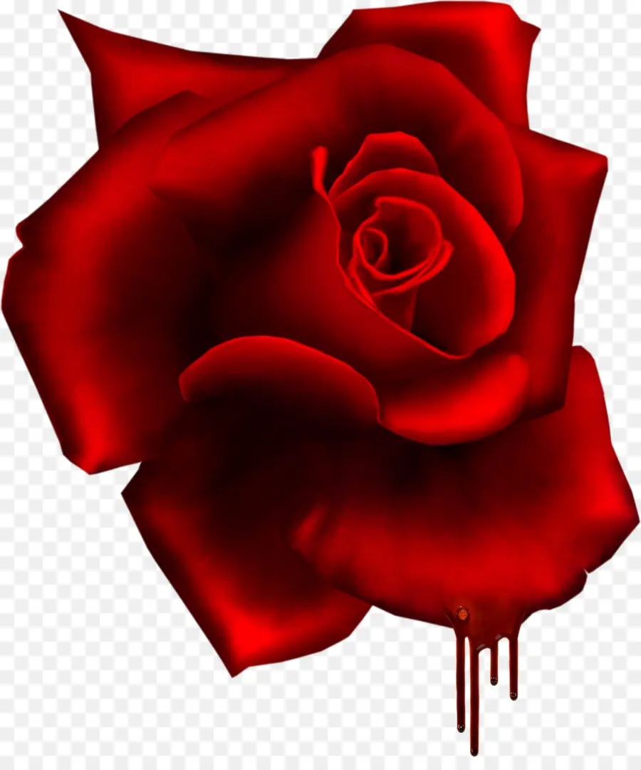 Rose，Rouge PNG