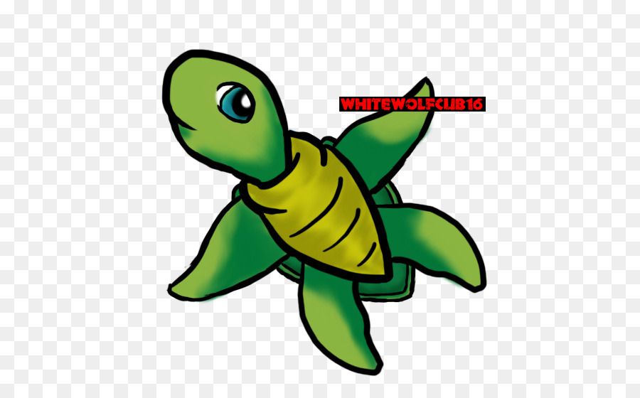 Tortue，Tortue De Mer PNG