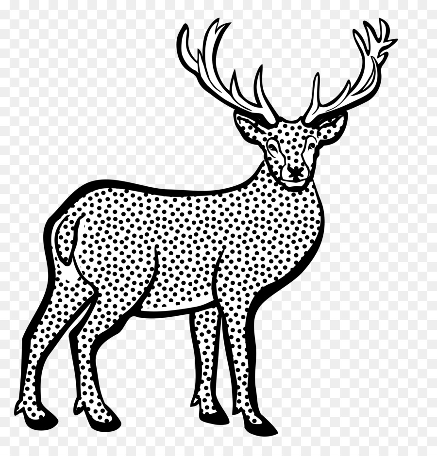 Cerf，Whitetailed Cerf PNG