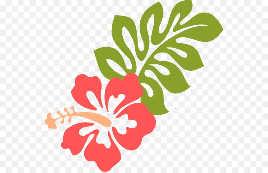 Fleurs D'hibiscus，Rose PNG