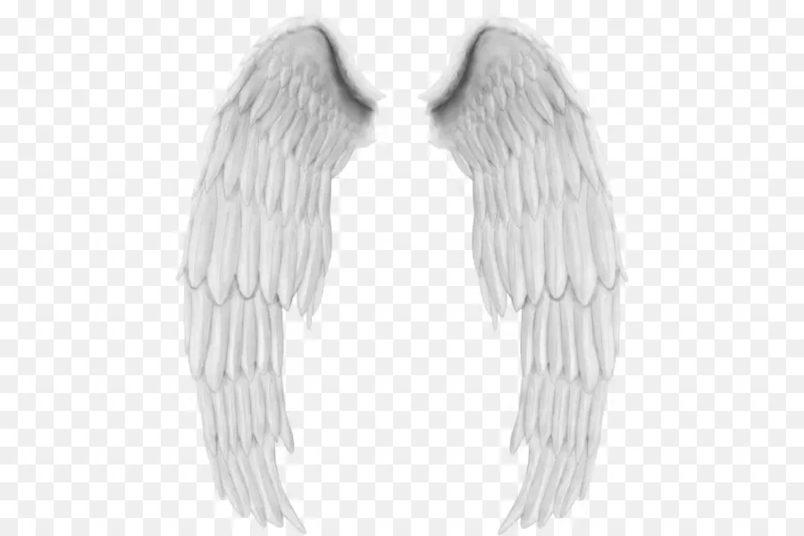 Ailes D'ange，Blanc PNG