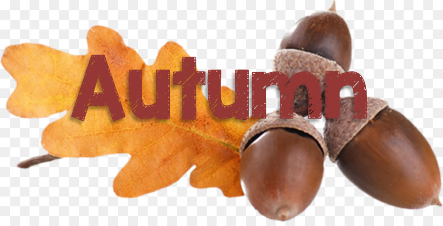 Automne，Feuilles PNG