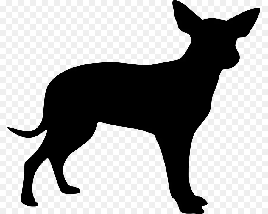 Silhouette De Chien，Animal De Compagnie PNG