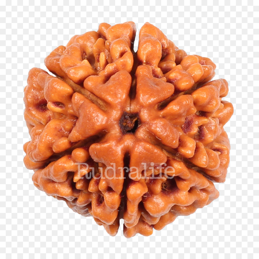 Rudraksha，Rudralife PNG