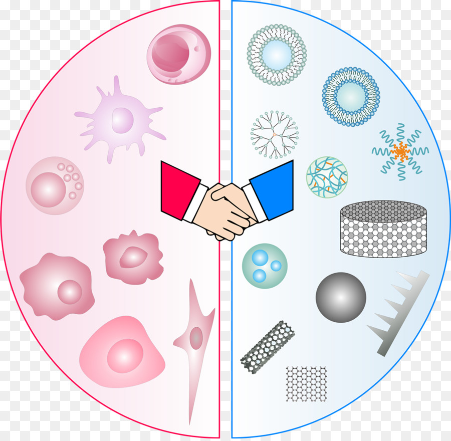 Poignée De Main Avec Des Cellules Et Des Nanomatériaux，Collaboration PNG