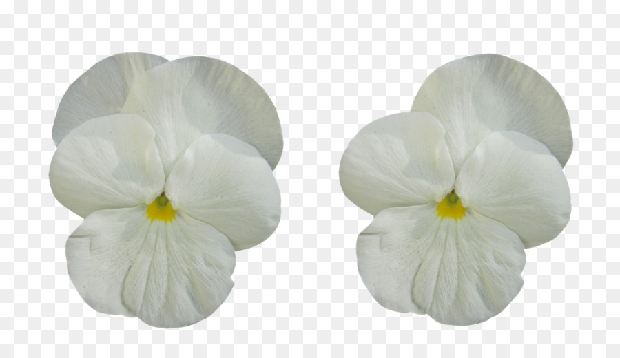 Fleurs Blanches，Pensée PNG