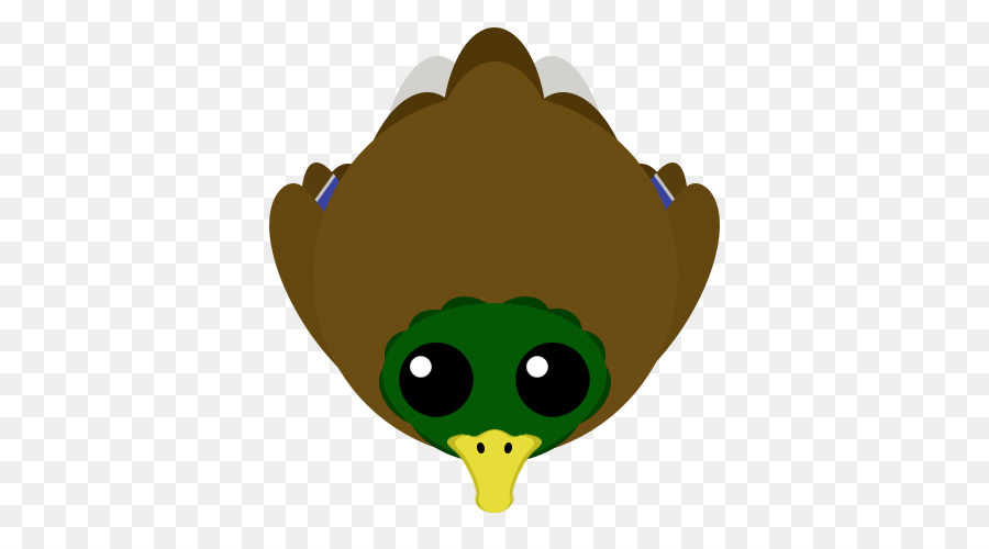 Canard，Animal PNG