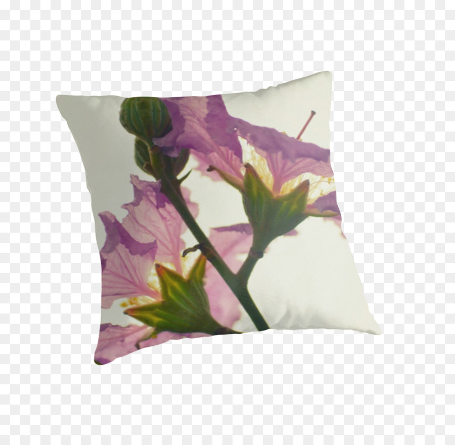 Les Coussins，Lilas PNG