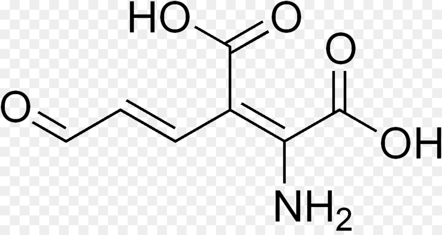 L'acide Aspartique，Acide Aminé PNG