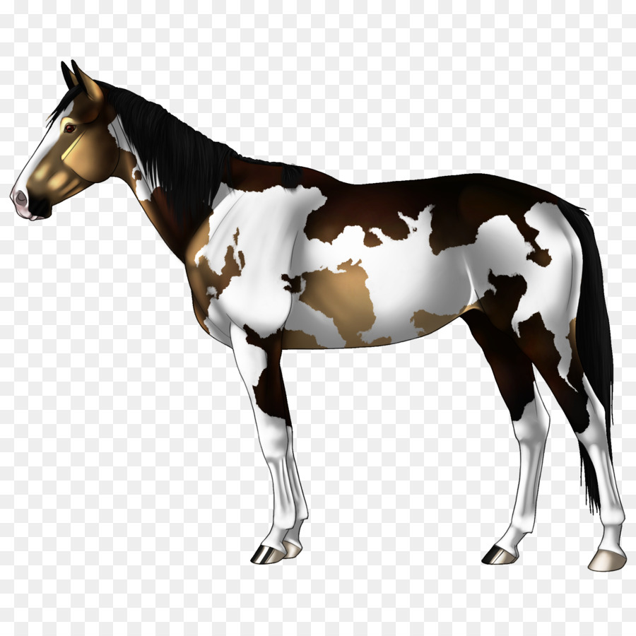 Cheval Noir Et Blanc，Cheval PNG