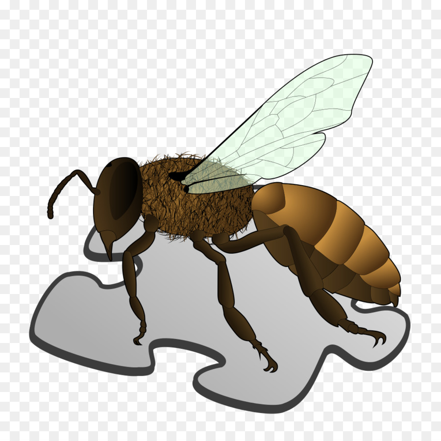 Abeille，Chéri PNG