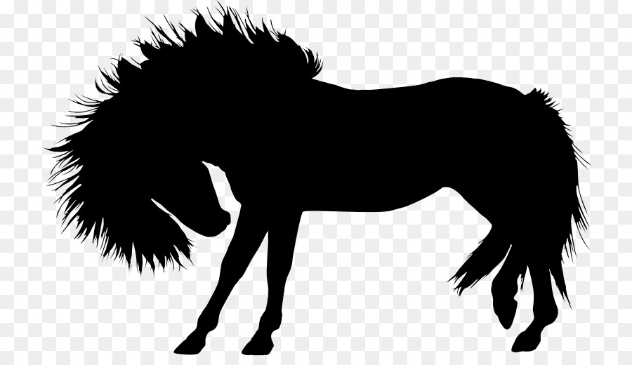 Silhouette De Cheval，Équin PNG