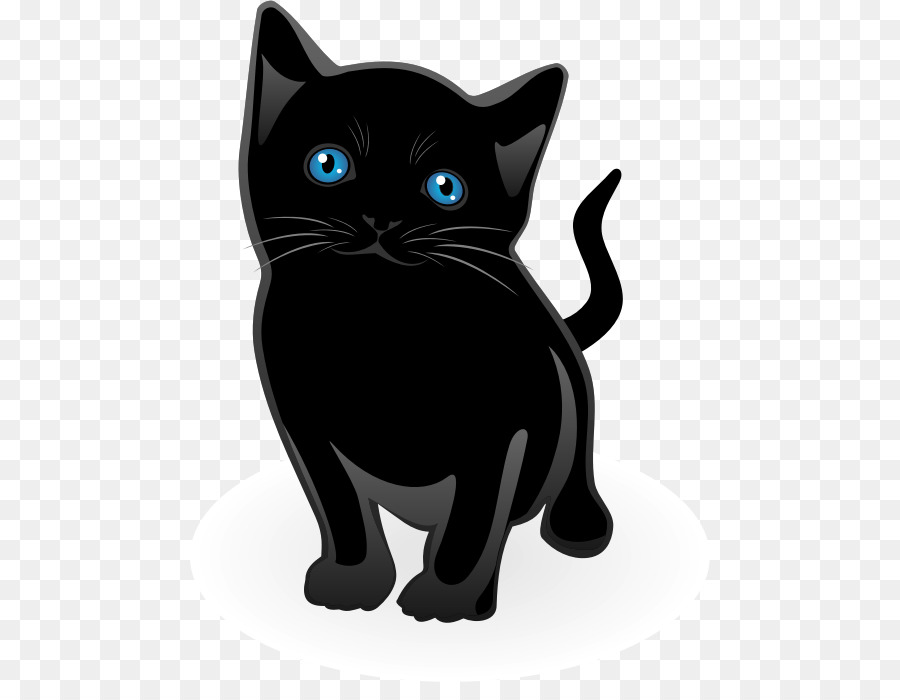 Chat，Noir PNG