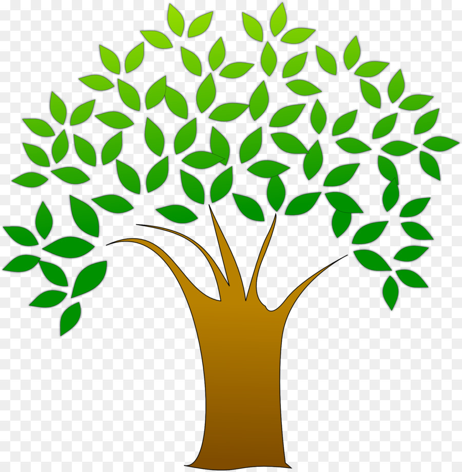 Arbre，Feuilles PNG