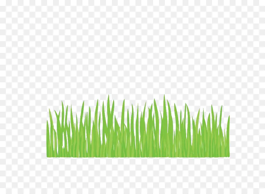 Herbe Verte，Fleurs PNG