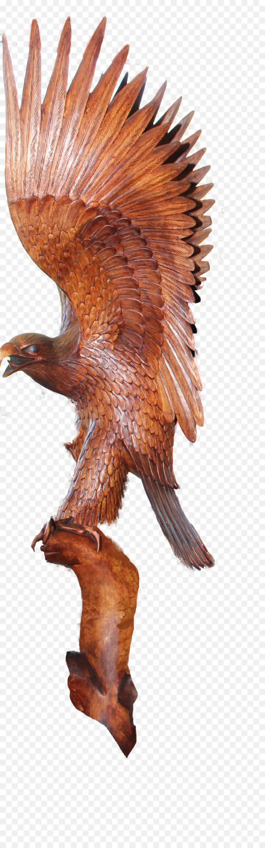 Aigle，Ailes PNG