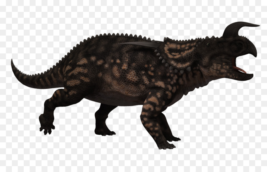Einiosaurus，Cératopsie PNG