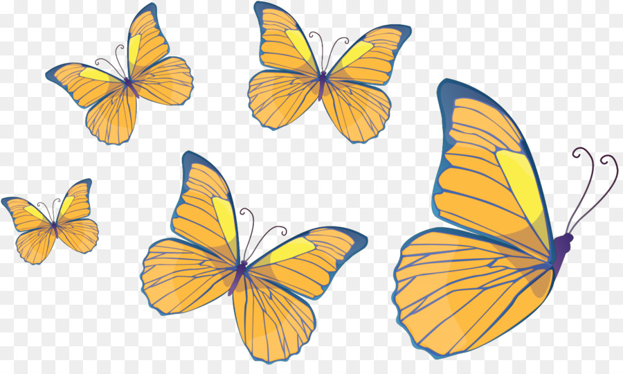 Papillons Jaunes，Ailes PNG