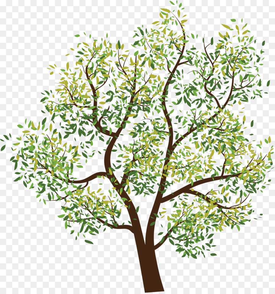 Arbre，Feuilles PNG