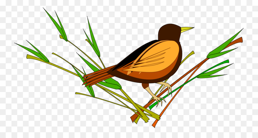 Oiseau，Moineau PNG