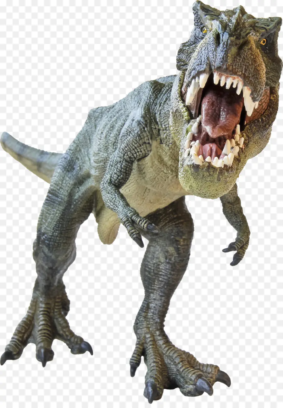 Dinosaure，T Rex PNG