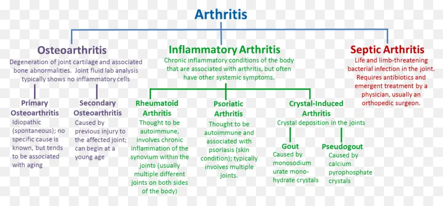 Tableau De L'arthrite，Arthrose PNG