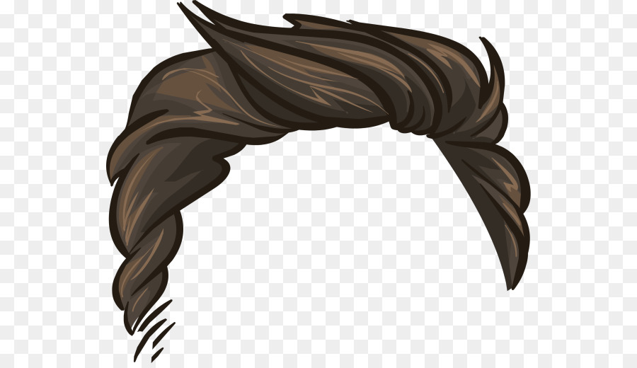 Cheveux，Style PNG